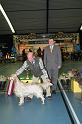 kerstshow 2008 058